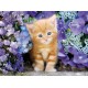 Puzzle Koty Ginger cat Clementoni