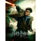 Puzzle Harry Potter Wingardium 6+ Ravensburger