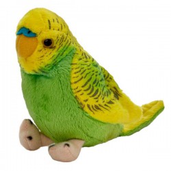 Maskotka Papuga falista zielona Beppe