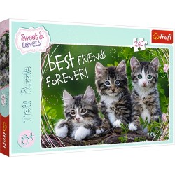 Puzzle Koty 8+ Kocia przyjaźń Trefl
