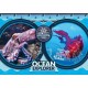 Puzzle National Geographic Ocean Expedition 7+